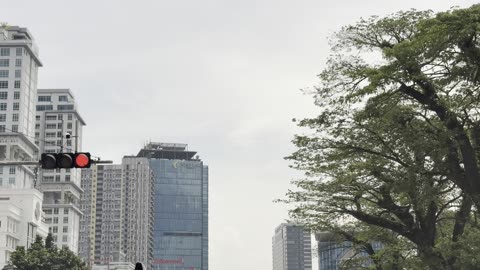 Driving Through the City | Enjoying the Sights of a Modern Metropolis