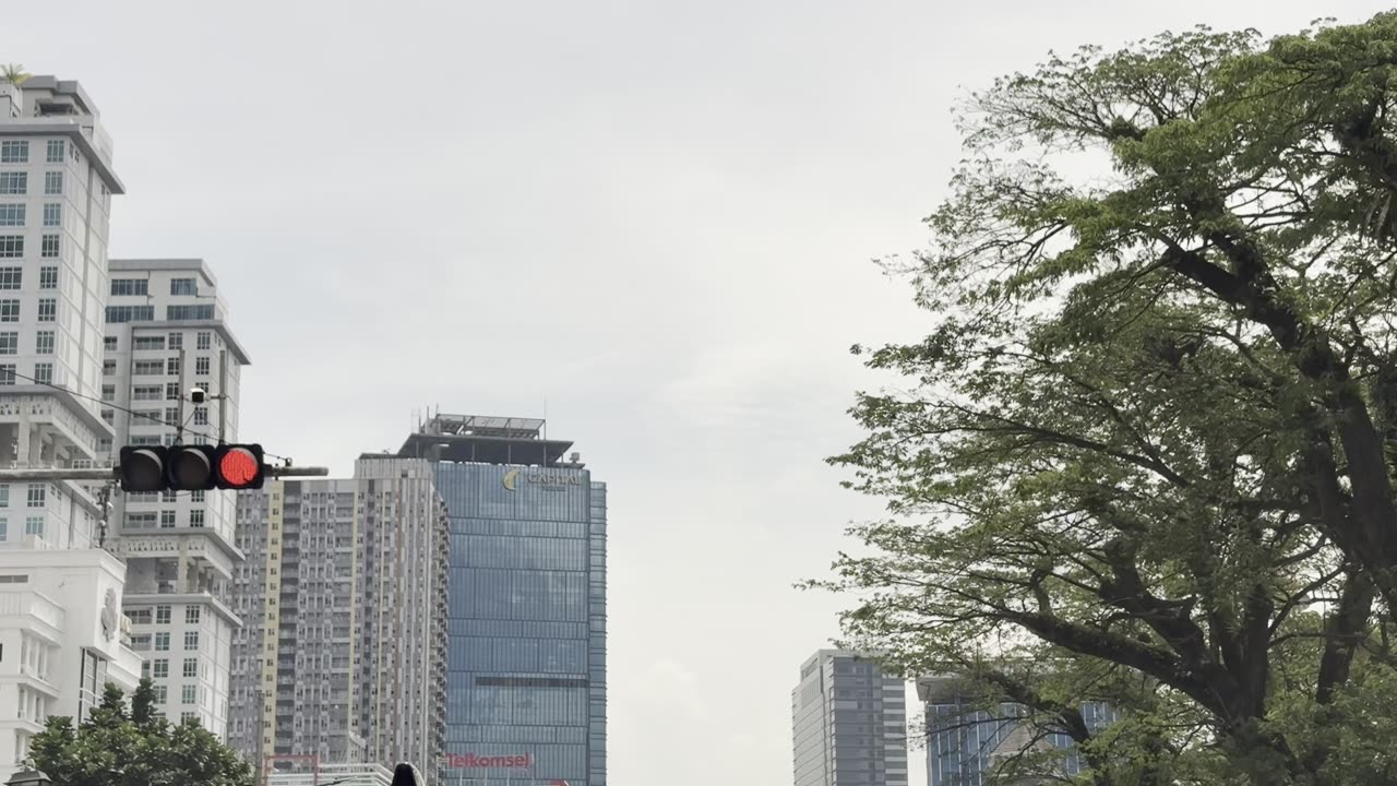 Driving Through the City | Enjoying the Sights of a Modern Metropolis