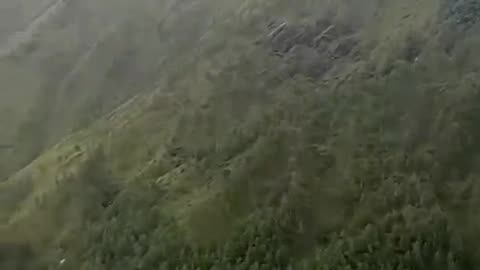 Enjoying nature