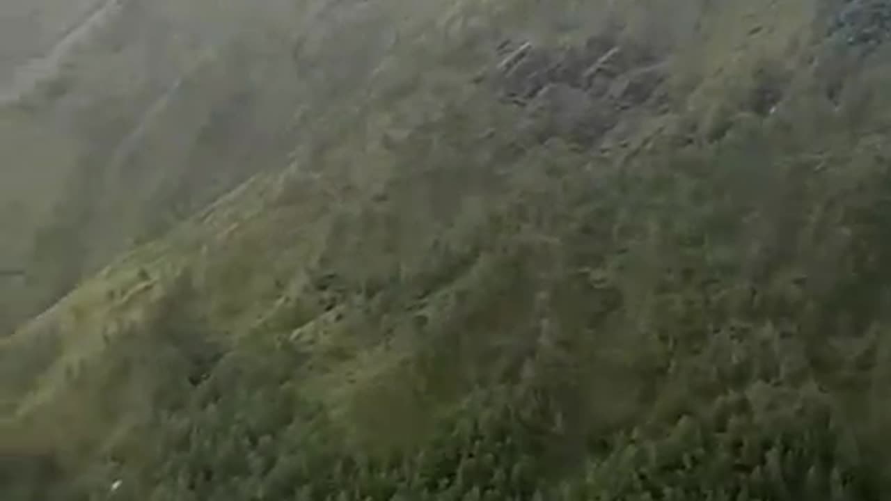 Enjoying nature