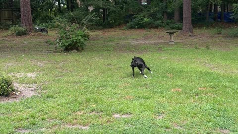 Brain to Legs Connection Went Out for a Second