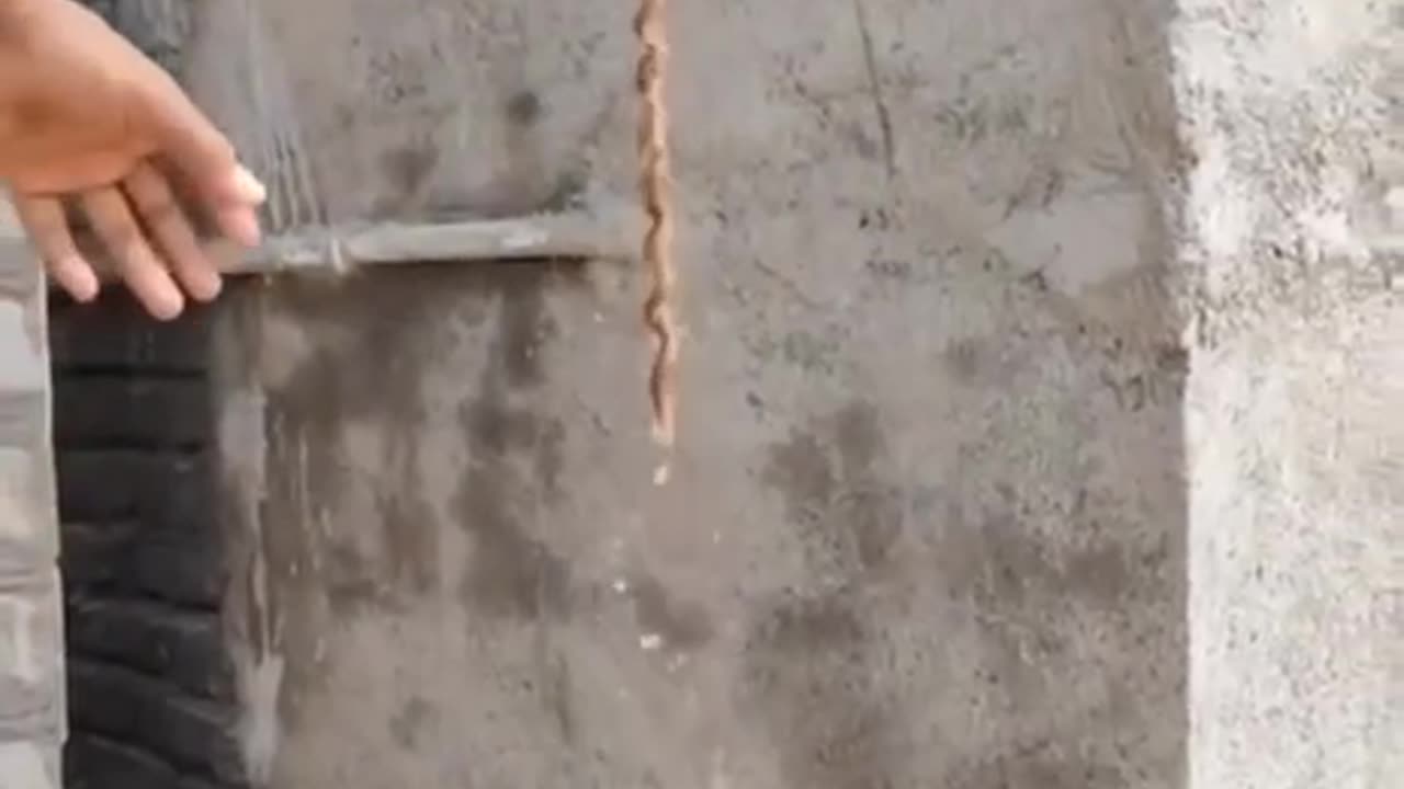 Vortex physics in action