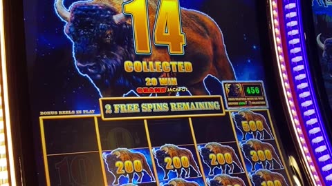 BUFFALO BOOM!