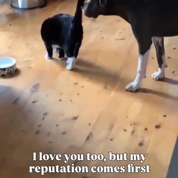 We been found out 🤣