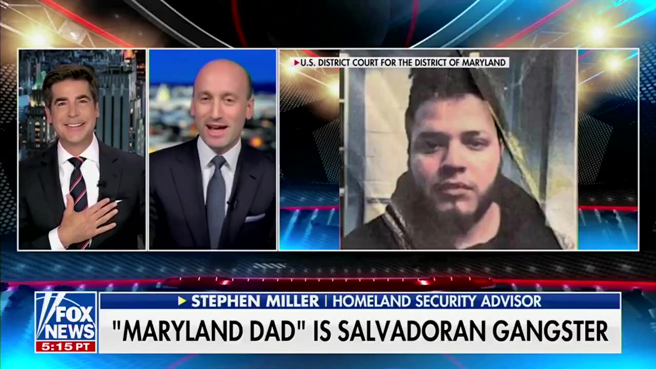 Stephen Miller Makes Fun of All the Positive Press the MS-13 Gang Leader Has Received