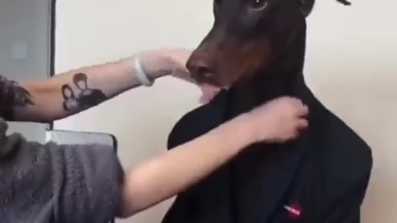 Snoop Dogg yendo a su primera entrevista de trabajo