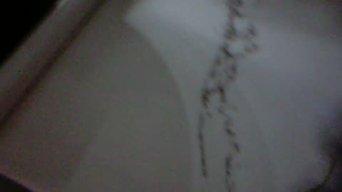 Some more cooking with the Vivitar keychain camera