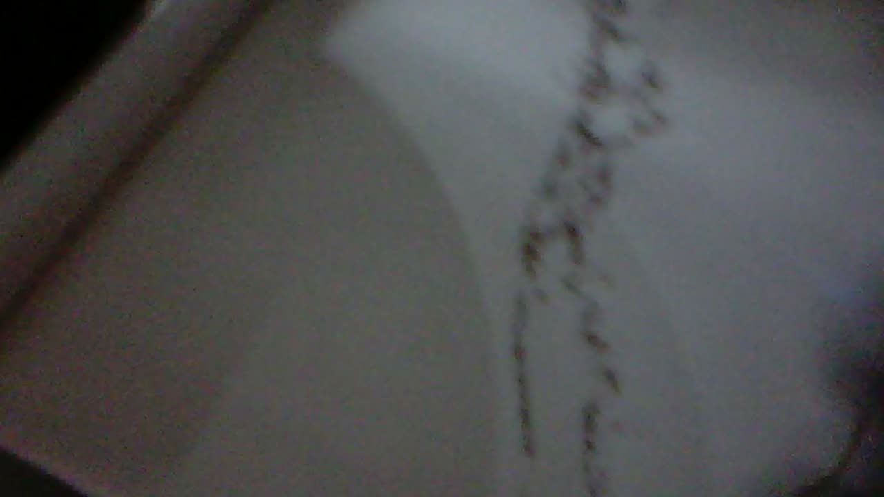 Some more cooking with the Vivitar keychain camera