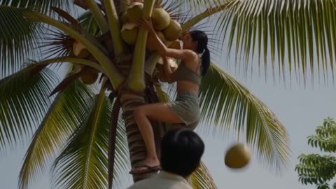 coconut Thief