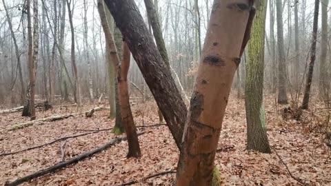 wstrzymuję oddech ...