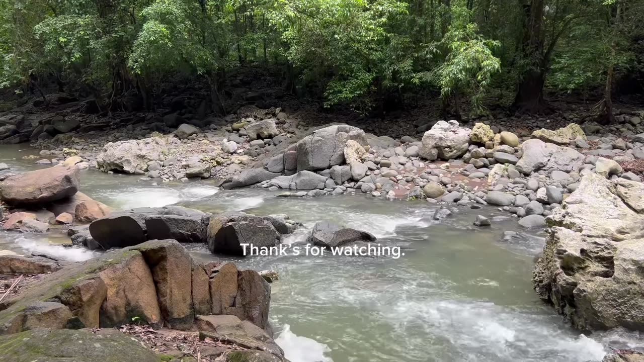 Solo Bushcraft in Sulawesi Rainforest | Rainstorm Survival ASMR