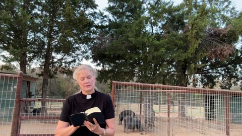Morning Prayer, Daily Office