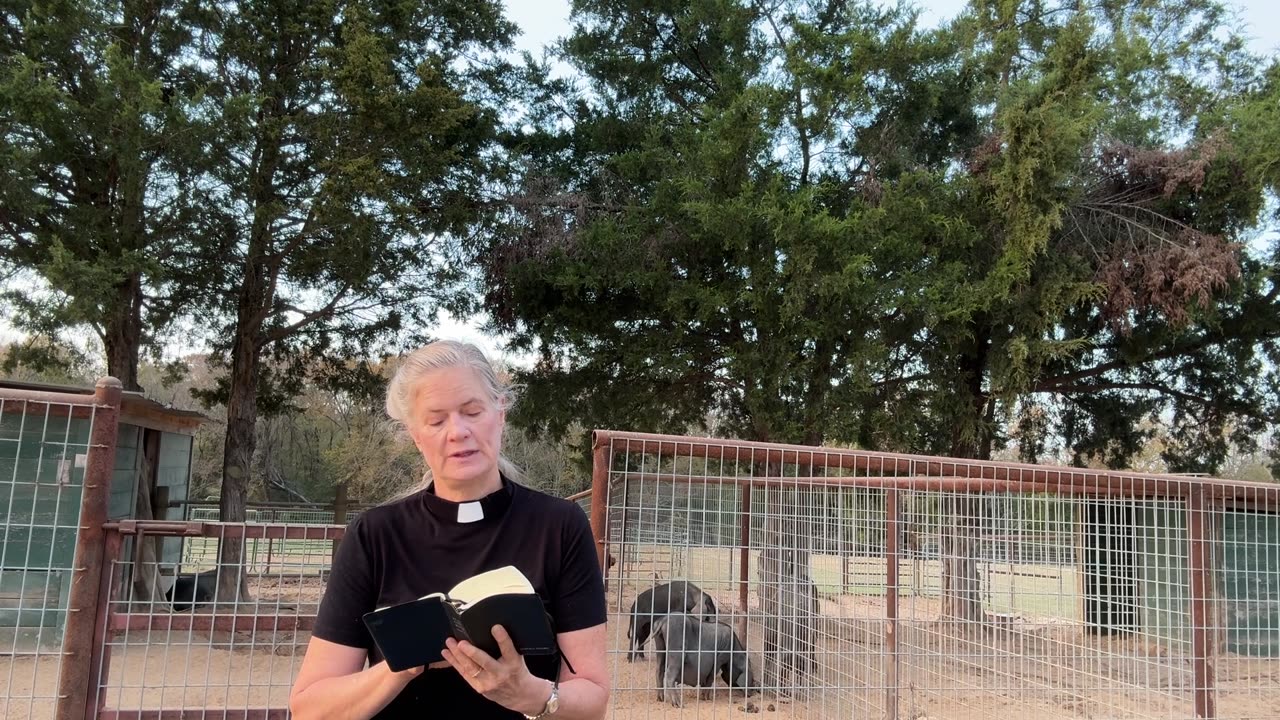 Morning Prayer, Daily Office