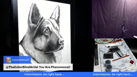Art With Ron, Episode 1