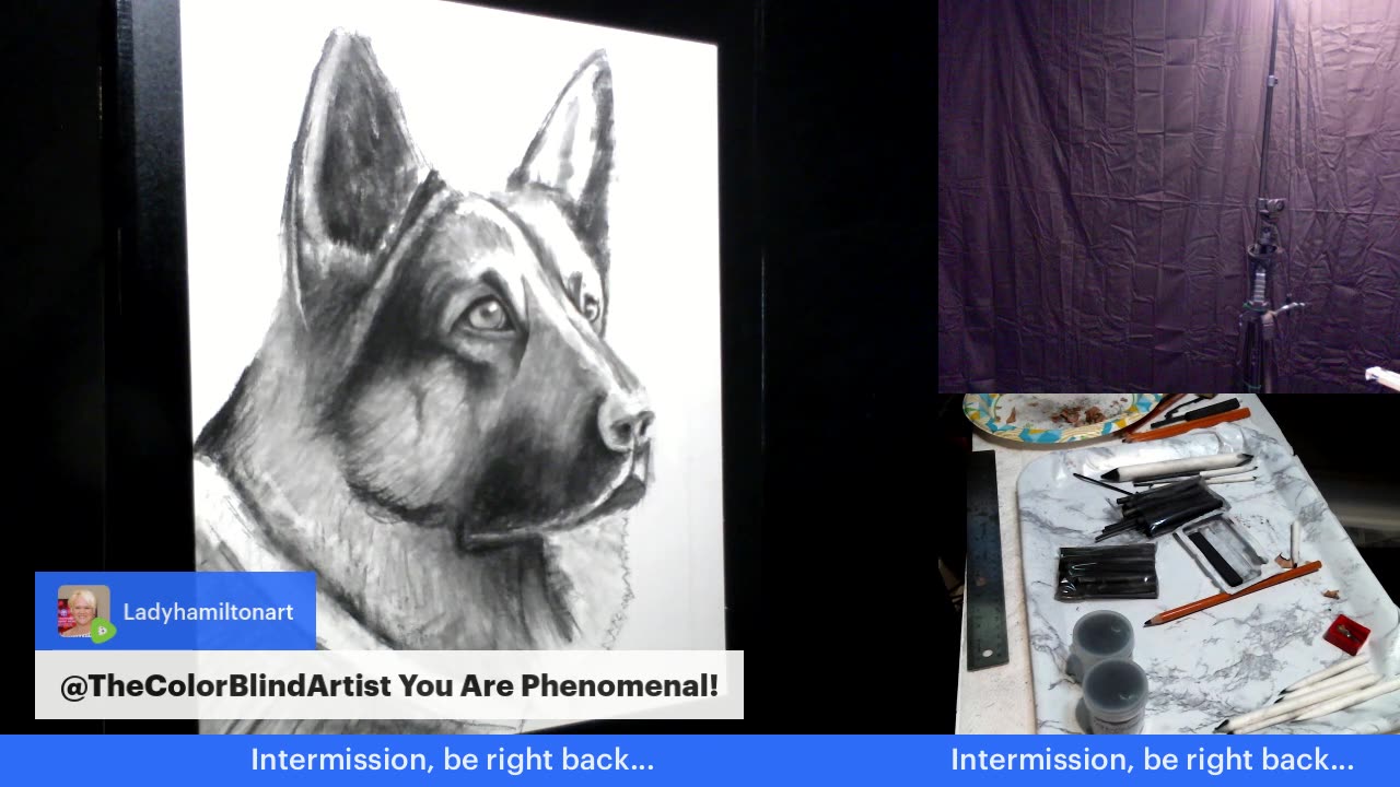 Art With Ron, Episode 1