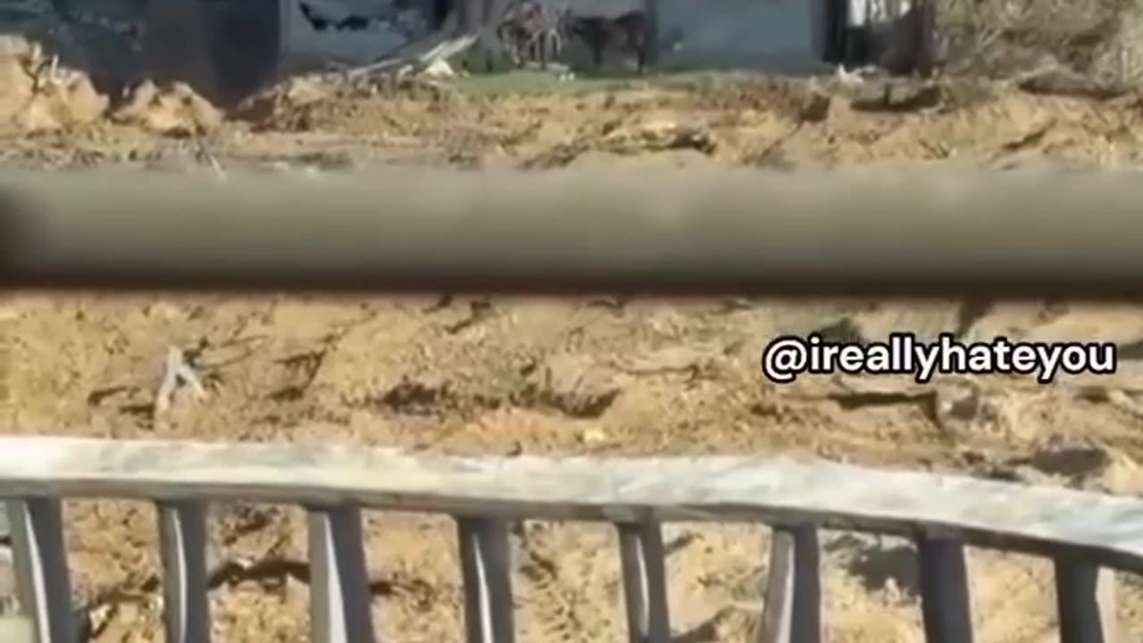 If you want to know the Jew, study Malignant Narcissism & Psychopathy