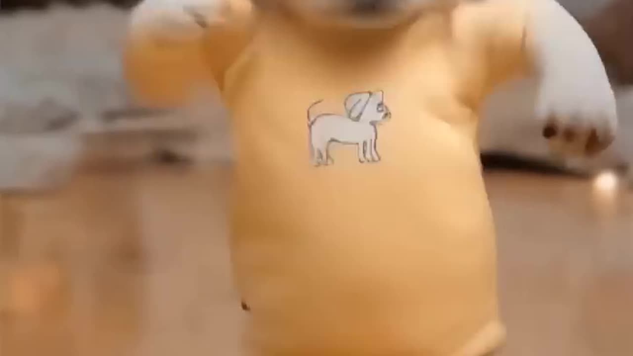 Motor Dancing Dog πΆπ