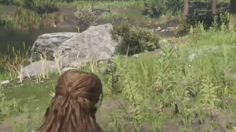hunting snakes near the lake