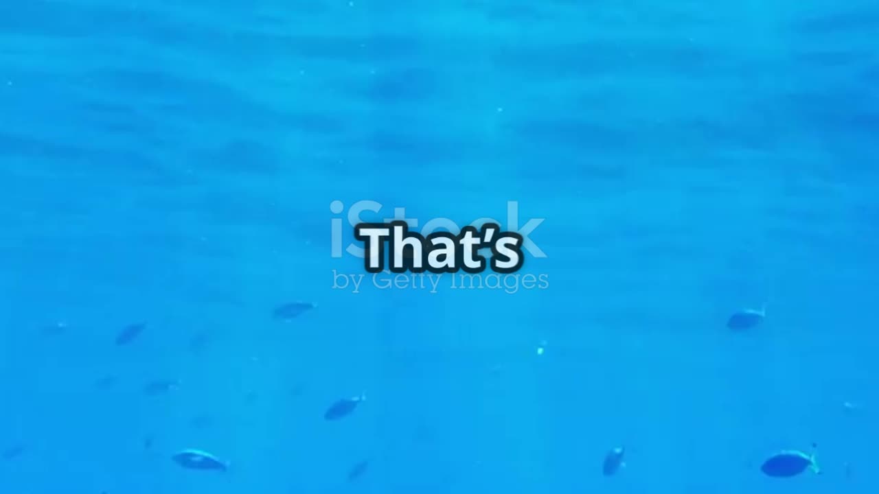 Why the Ocean Is Always Blue! 🌊 | ZeroAi Facts