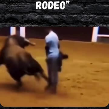 The bull ain't playing no games