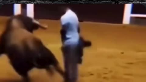The bull ain't playing no games