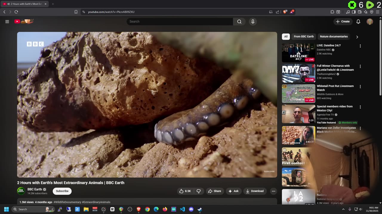 🔴Cyber Monday weekend with Jimmy! | Live with @wappyflanker