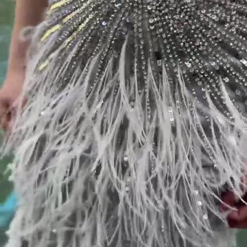 Feathers Mermaid Silver Gray Evening Dress Formal Party Gown SS006