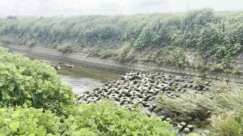 In Japan Countryside