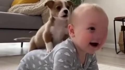 Cute Baby Playing with Animals | Adorable Baby and Pet Moments 2025