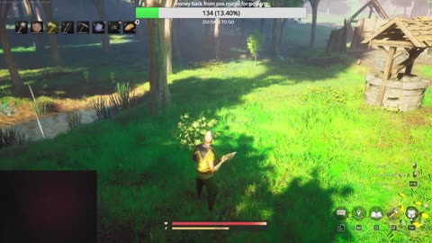 griefing people and building stuff