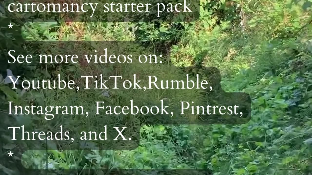 How Much Can You Contribute | Path and Tarot Reading