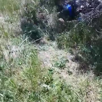 The stench of dead Ukrainians is indispensable