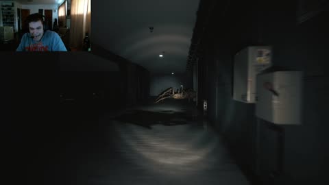 RUNNING TO SPIDER