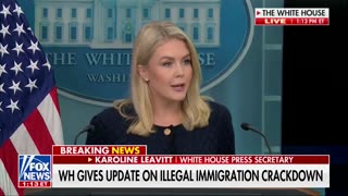 White House Announces AMAZING News On Crime Since Trump's Election (VIDEO)