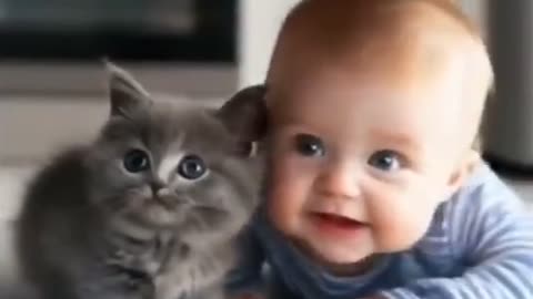 گربه با بچه انسان