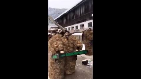Le défilé du Krampus dans les villages alpins autrichiens!🤔