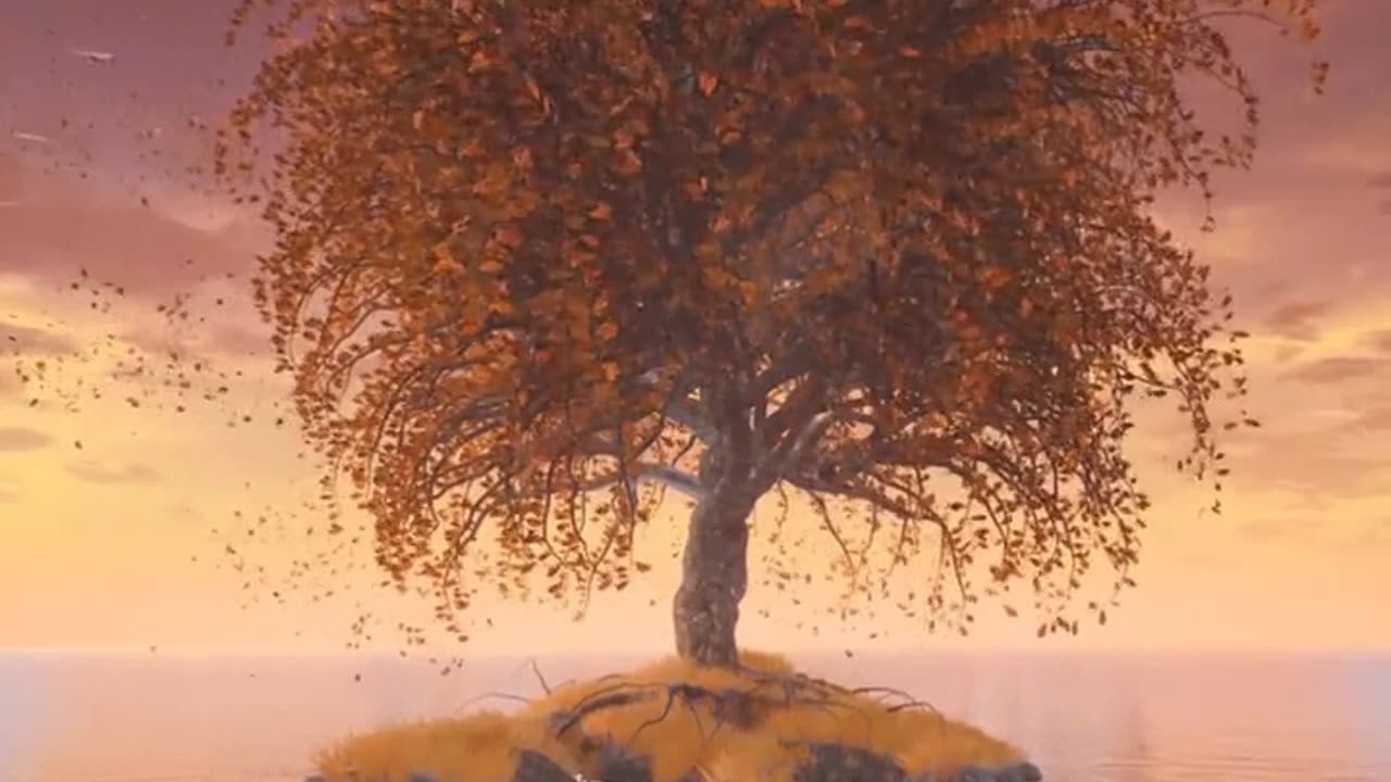 Daily Horoscope | Leo 🌟