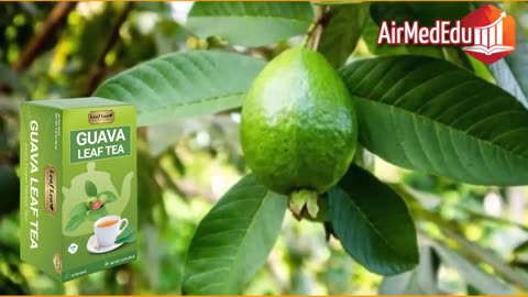 Para que serve o chá de folhas de goiaba