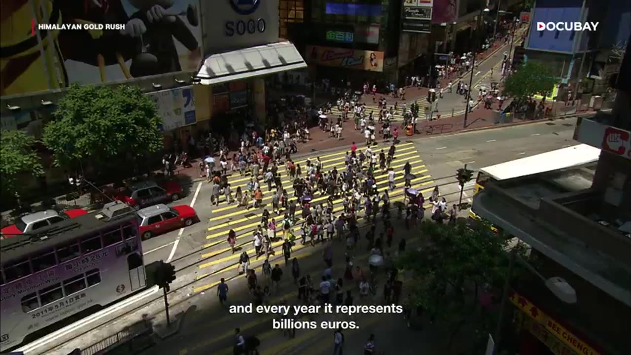 Caterpillar fungus (yasagumba)