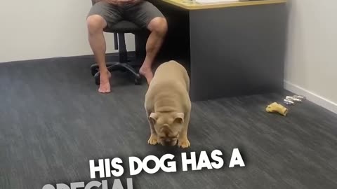 His Dog at Work Was all the Fun 🤣