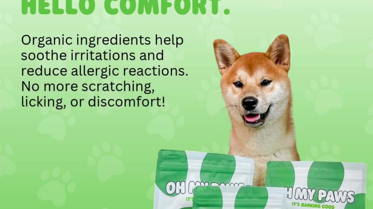Why Your Pet Deserves Organic Treats