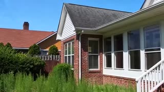 🌱🚪 Finally Got In… But Look at This Backyard! 😳 Overgrown & Unacceptable!