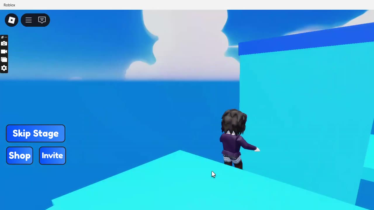 ROBLOX sonic obby