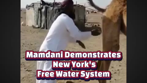 Mamdani's Free Water System