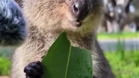 Yum
