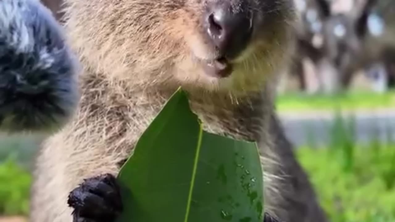 Yum