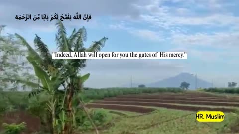 Partly about the Islamic religion 27
