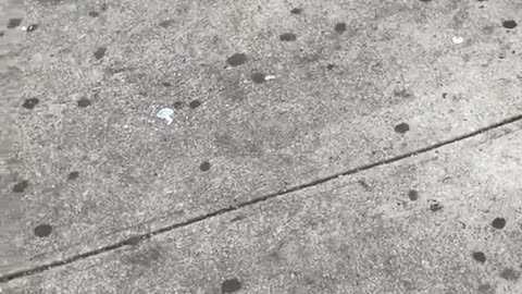 Just another day in NYC…