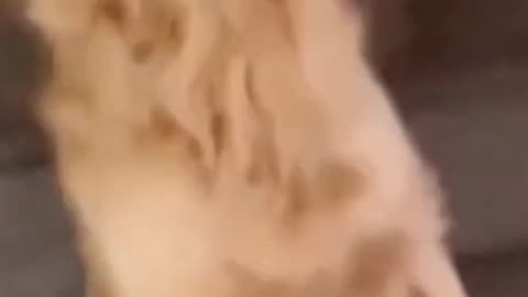 Funny