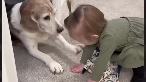 Try not to laugh. Babies and pets 🤣